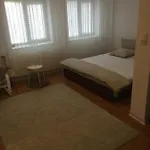 Studio Baneasa