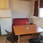 Avrig-Ferdinand Studio