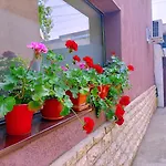 Luta Studio
