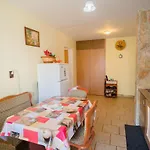 Rustic & Spacious 3Br Apartment