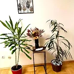 Vintage Bucharest Apartment