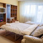 Oak Apartment - Piata Victoriei