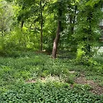 Apartament Afi Cotroceni