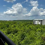 Peaceful Stay With A Forest View