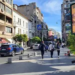 Calea Victoriei Peaceful Oasis Apartment
