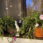 City Garden Apartments