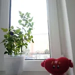 The Red Studios