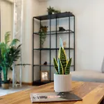 Wonderful Apartments In Prime North Location - Heaven For Extended Stays