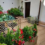 Cozy Green House