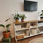 Modern Flat With A Boho Touch