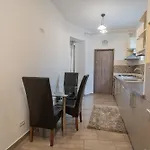 Cozy Apartment Near Victoriei Square - Berzei