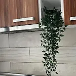 Mall Bucuresti Vitan Studio