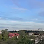 City Life, Forest Vibes