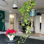 Cosy Studio Floreasca