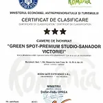 Green Spot - Premium Studio - Sanador Victoriei
