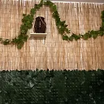 Your Nice Home