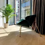 Central Modern Apartment In New Building