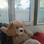 Amg Ato