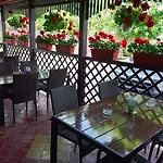 Hotel Pui de Urs