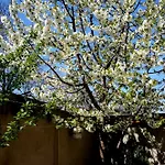 Collosal Apartment With Garden