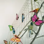 Park Studio
