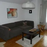 Cosy Studio 55Sqm, Cotroceni Area