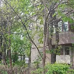 Eden Apartament