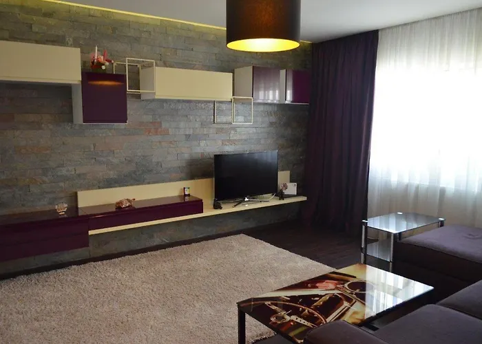 Apartament Confort Panu
