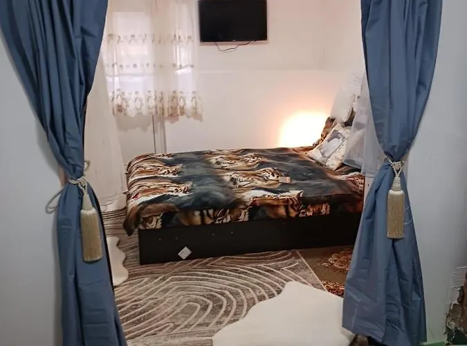 Otto Nu Primesc Santieristi Si Petrecareti Anuntati Ma Cu Doua Ore Inainte Sa Fac Focul
