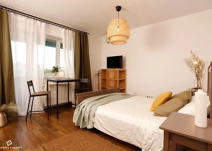 Cozy Concept Studio