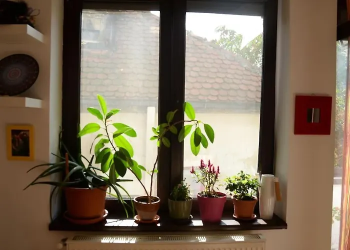 Old Town Bohemian Studio With Garden View Balcony