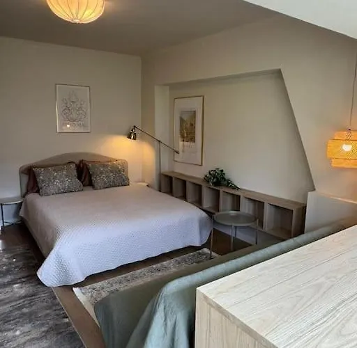 Luxury Studio Near University Square