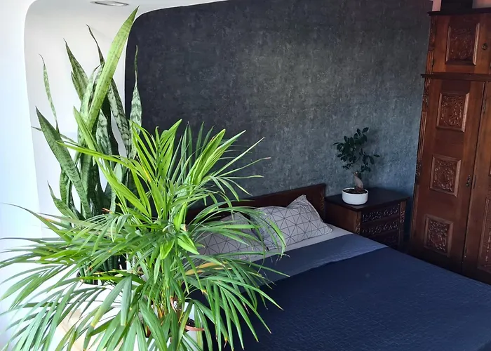 Apartment In Dristor Area