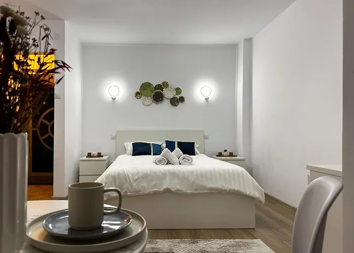 Superior One Bedroom Apartment Unirii Square