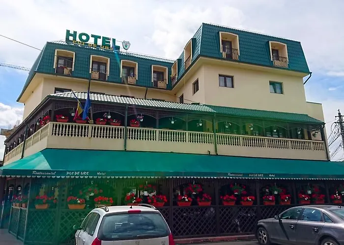 Hotel Pui de Urs