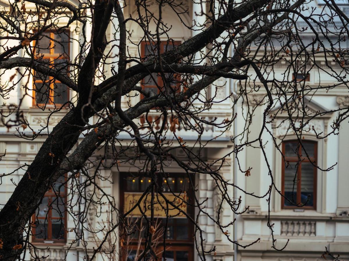 Old Town - Historic Area Apartment