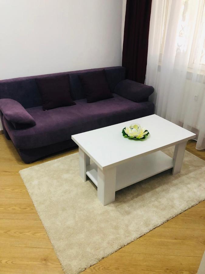 Cozy Studio Romexpo *