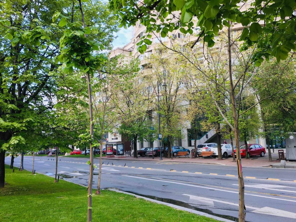 Gazde/Camere de închiriat Center Unirii Square Private With View - Shared Amenities Bucureşti