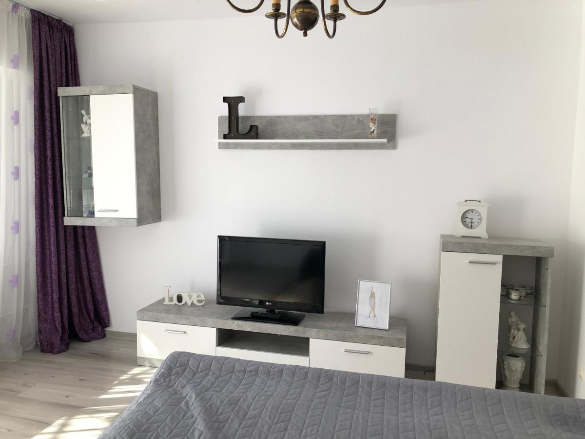 Le Garcon De Cristina-simple,quiet,spacious * Bucharest