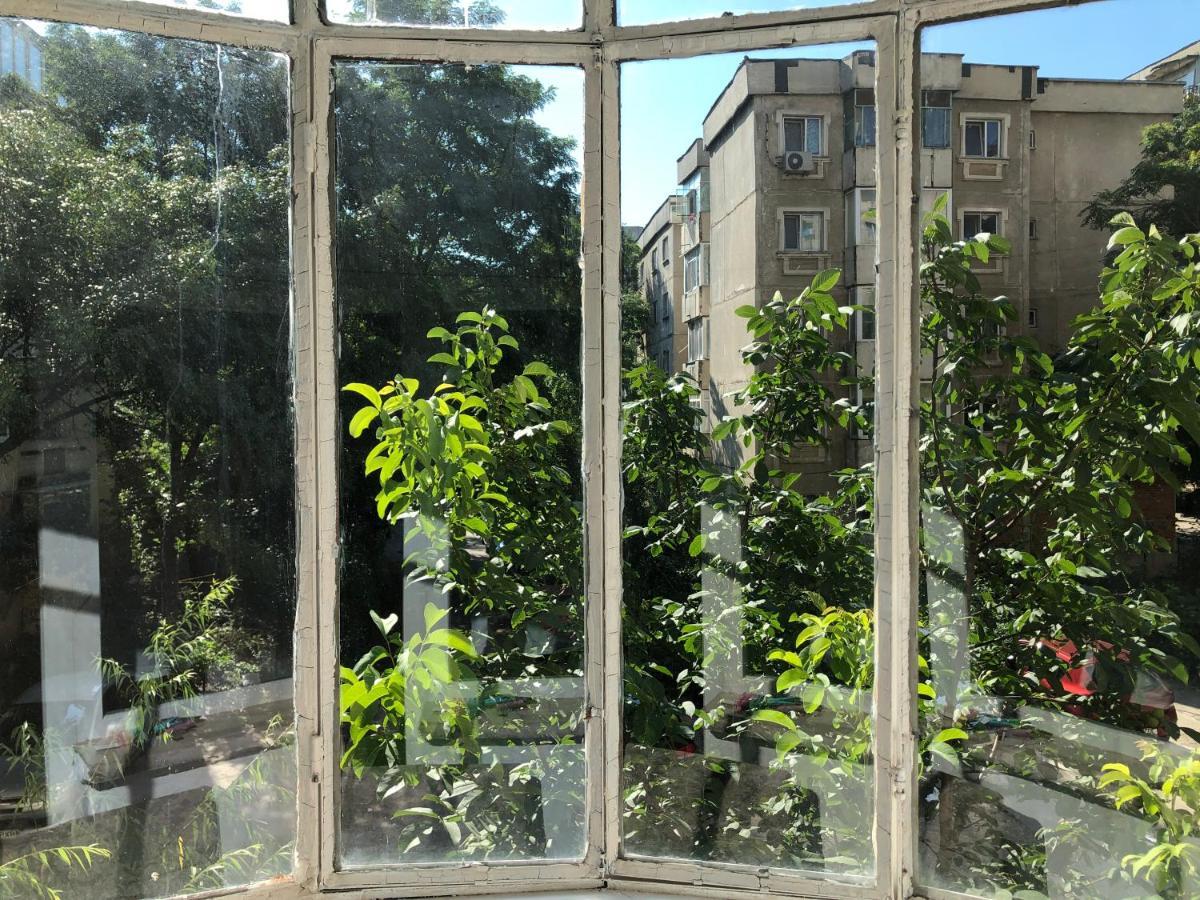 Le Garcon De Cristina-simple,quiet,spacious Apartment Bucharest