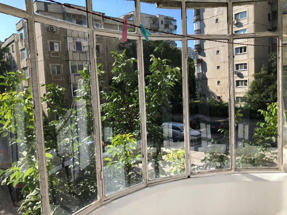 Le Garcon De Cristina-simple,quiet,spacious Bucharest