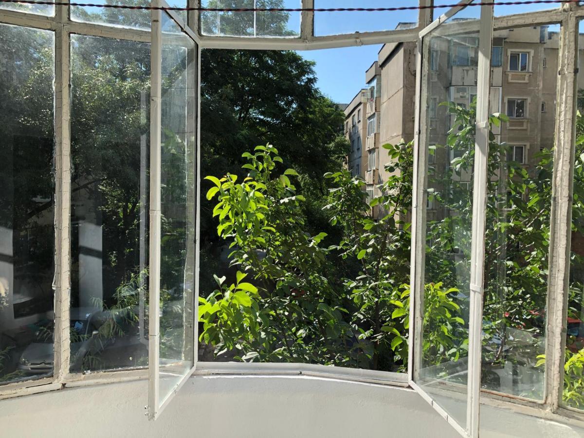 Le Garcon De Cristina-simple,quiet,spacious * Bucharest
