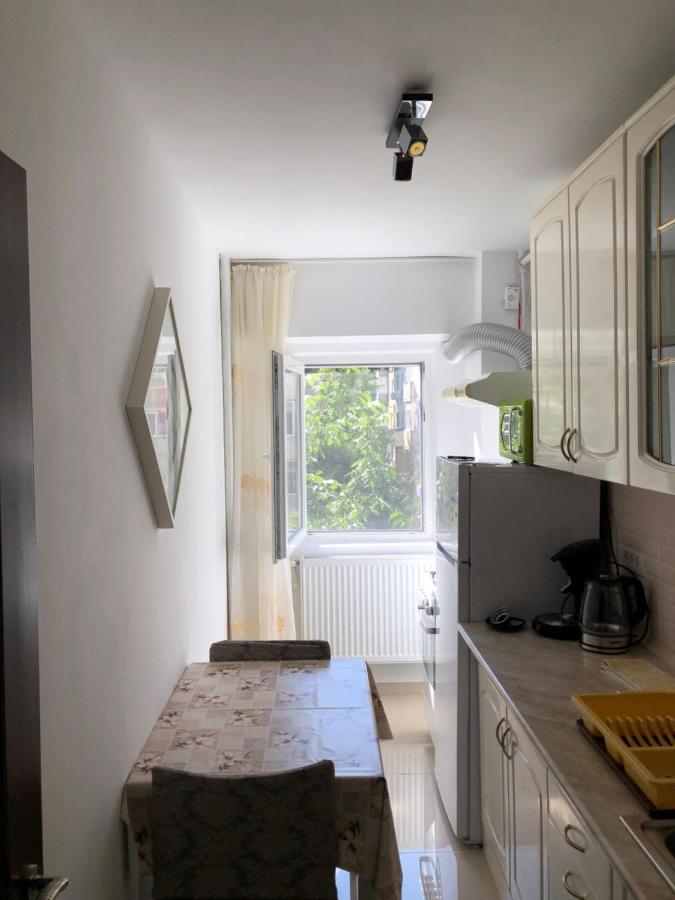Le Garcon De Cristina-simple,quiet,spacious Bucharest
