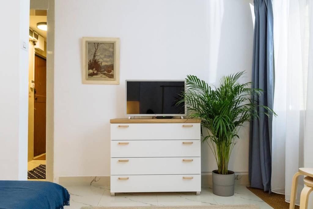 Apartment With Private Terrace Next To Cismigiu Bucharest