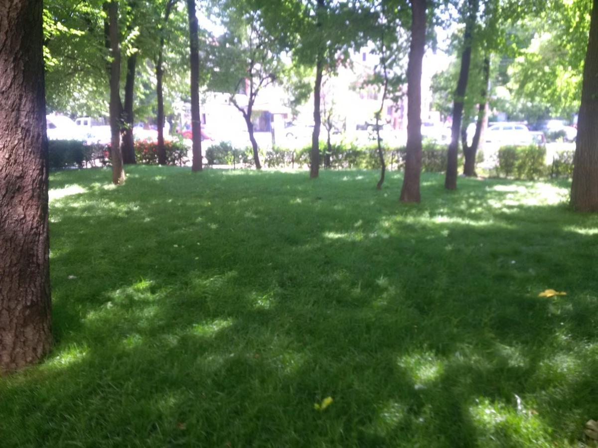 North Studio Apartament Bucureşti