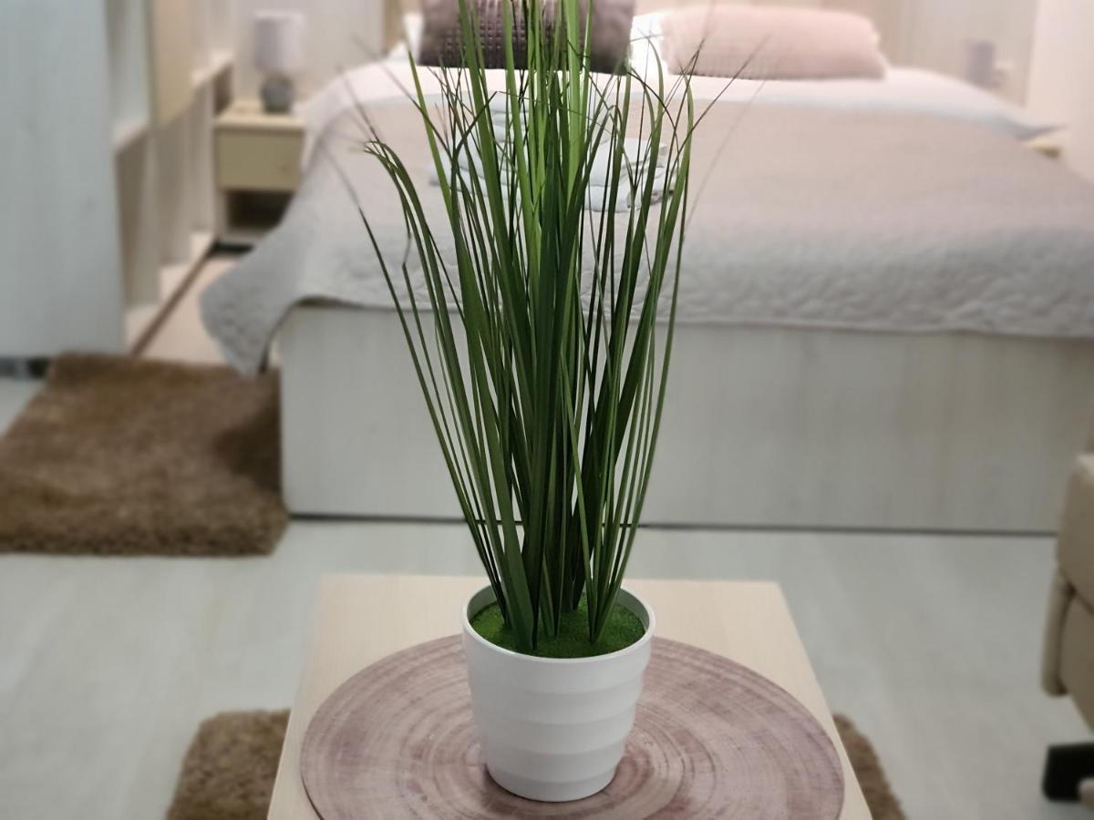 Garsoniere Fundeni Apartamento