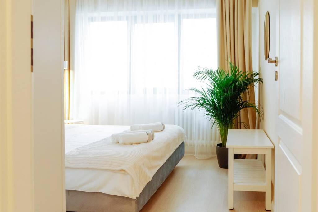 Elegant Vibes Next To Obor Market *