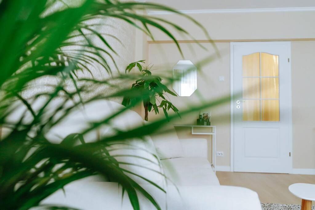 Apartment Elegant Vibes Next To Obor Market