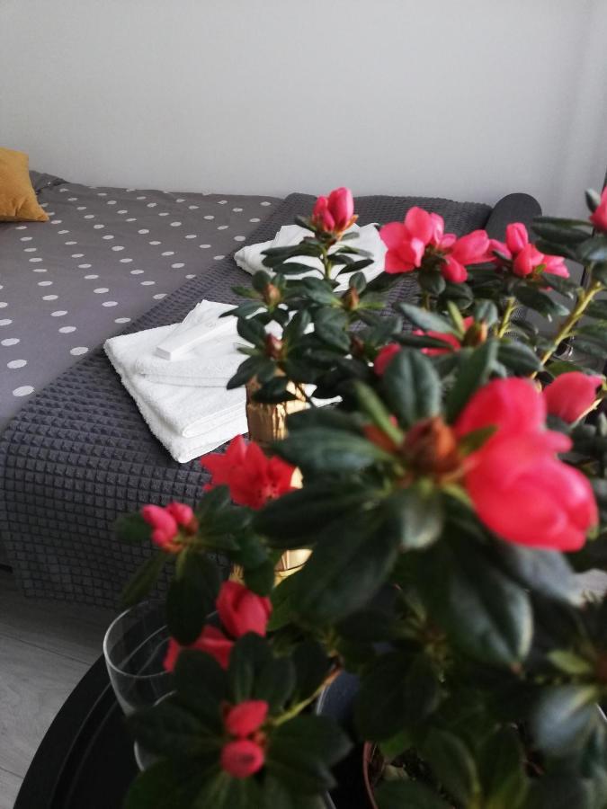 Marlen's Apartment Bucharest