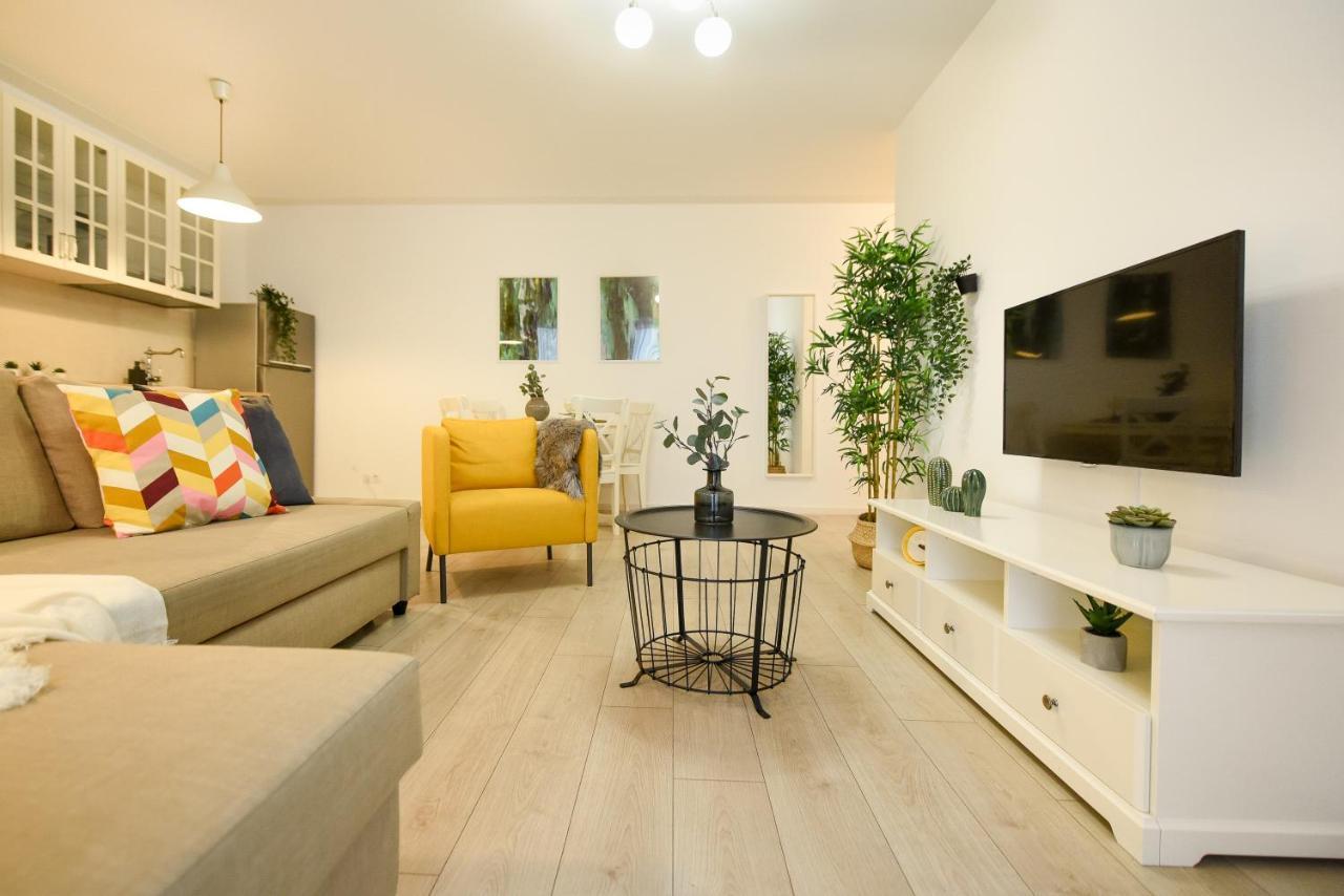 Apartment The Comfy Spot - 1 Br-apartment & Parking Included In North Business Area